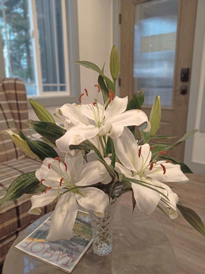 埃莱特酒店 南太浩湖 外观 照片